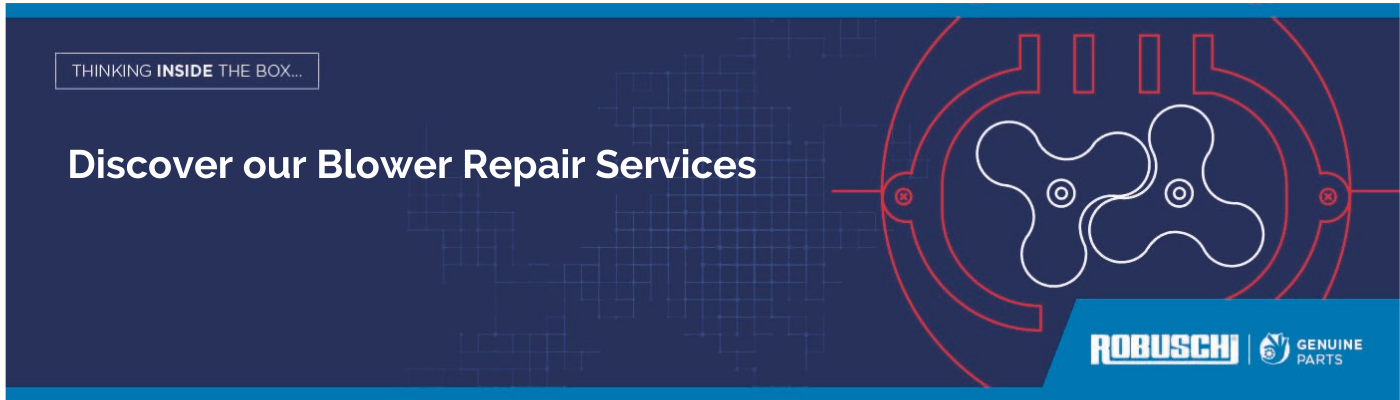 Robuschi-Blower Repair Services
