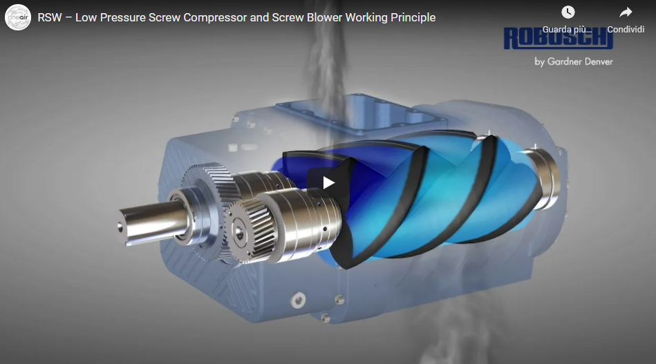 Schraubengebläse Robuschi